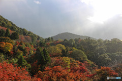 天気雨