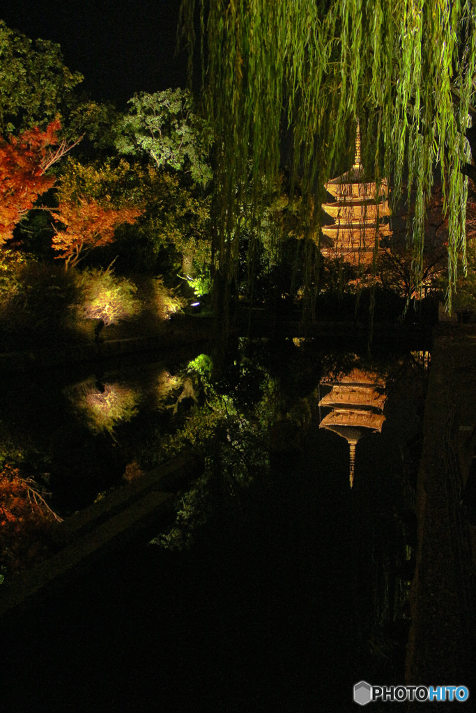 東寺　ライトアップ