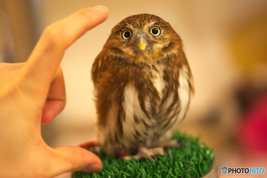 君、ちっちゃいね