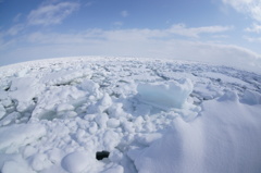 氷の原野