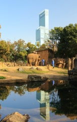 天王寺動物園