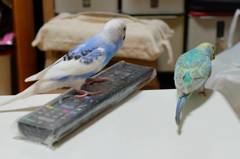 ねぇねぇ2