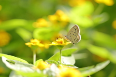 至福の時
