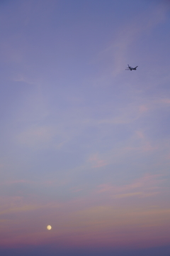 Lilac Sky