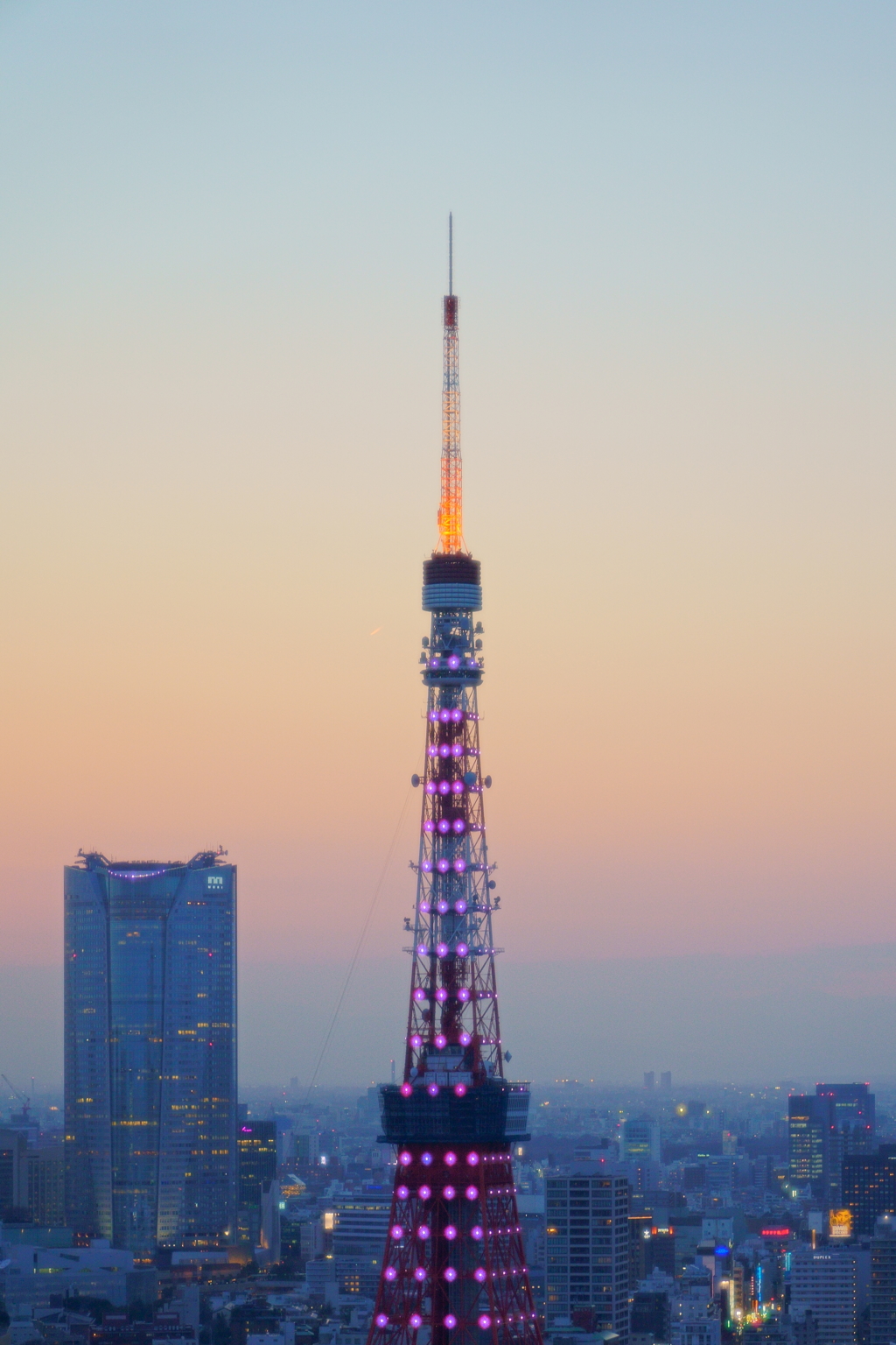 色付き始める東京タワー