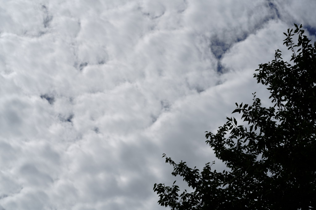 雲