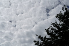 雲
