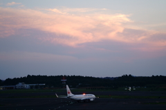 夕闇に光る
