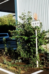 終点