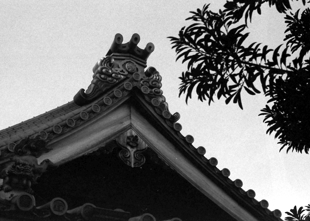 屋根