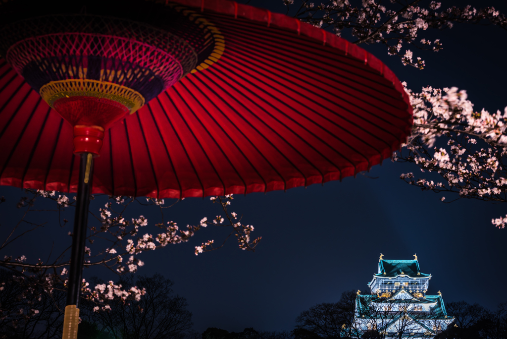 桜の雨