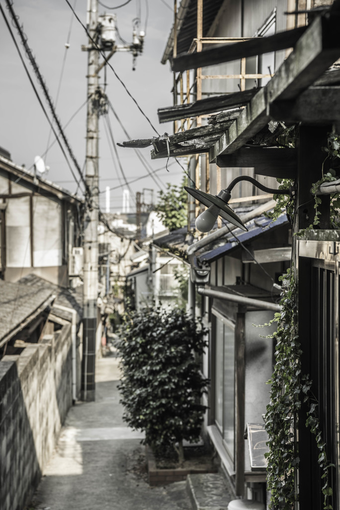 路地を照らす