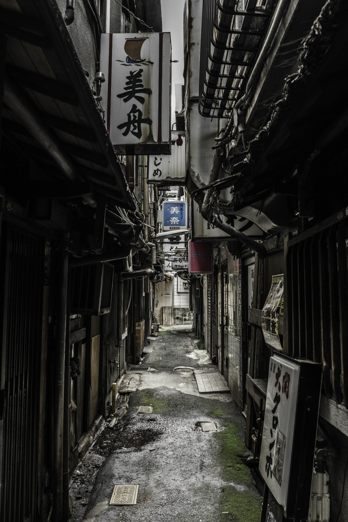 盛衰