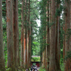 戸隠神社