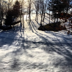 雪景色と影