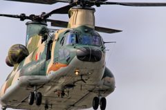 空自チヌーク