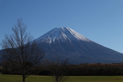 晴天の富士１