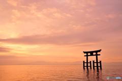 琵琶湖の朝