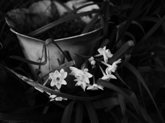 P1450863