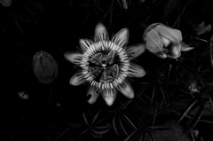 DSC04568