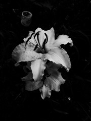 DSC01332