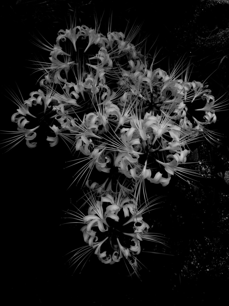 DSC00307-1-25