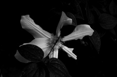 IMGP4603-25