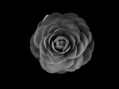 P1470253-01