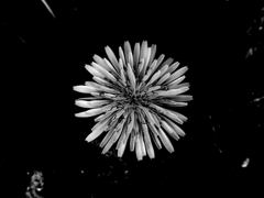 R0015636