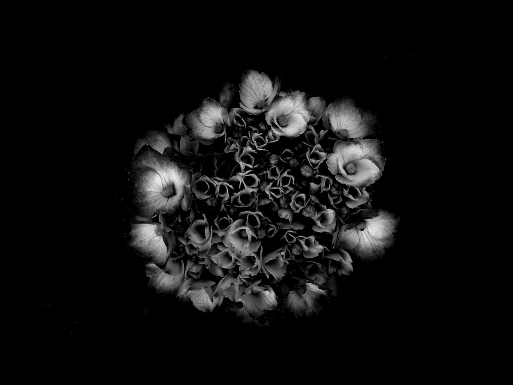 R0016797-3