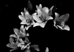 DSC04705-2500