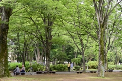 DSC_9313-いつものお散歩公園