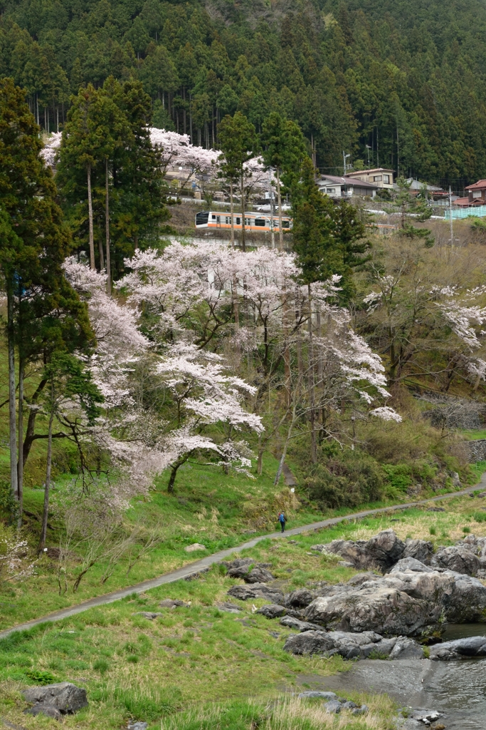 DSC_3944 御岳渓谷