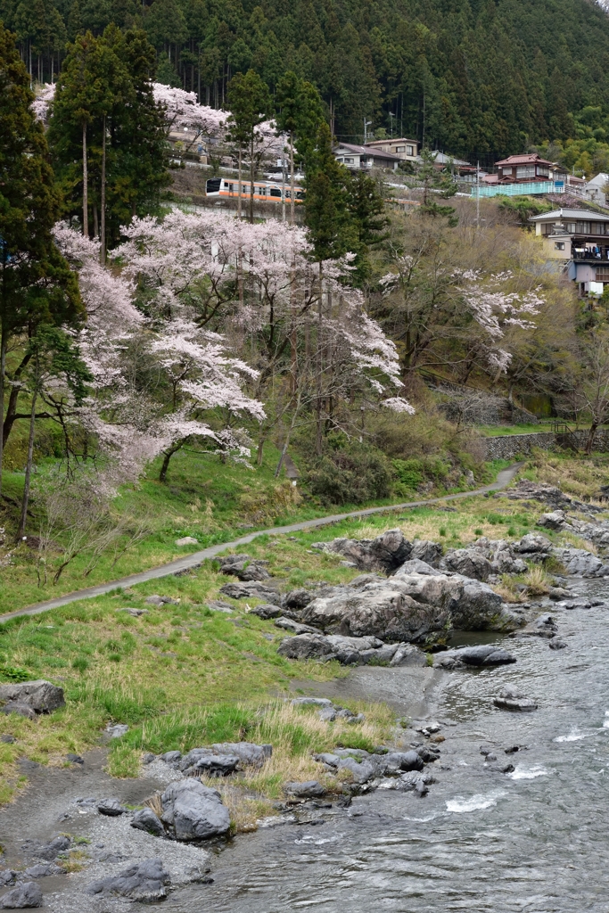 DSC_3939 御岳渓谷