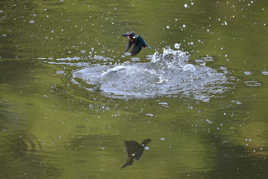 リフレクション