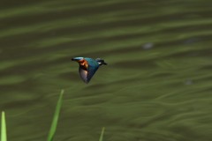 スカートみたい