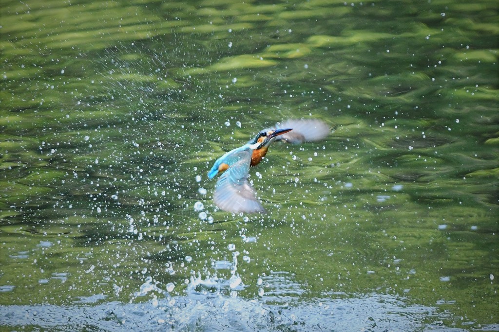 ちょっとアップ