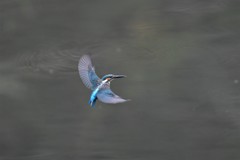 背面ホバからのリターン