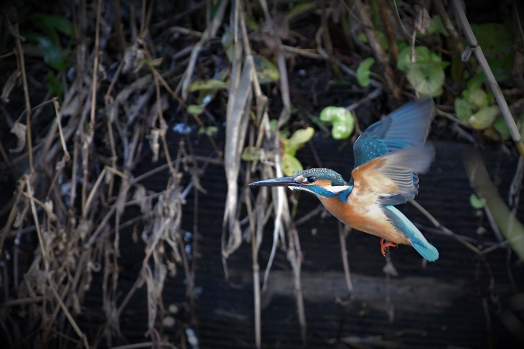 低空ホバからの横っ飛び