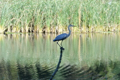 君の場所じゃない！