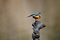 行きそうでいかない