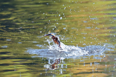 （祝）新兵器での水絡み