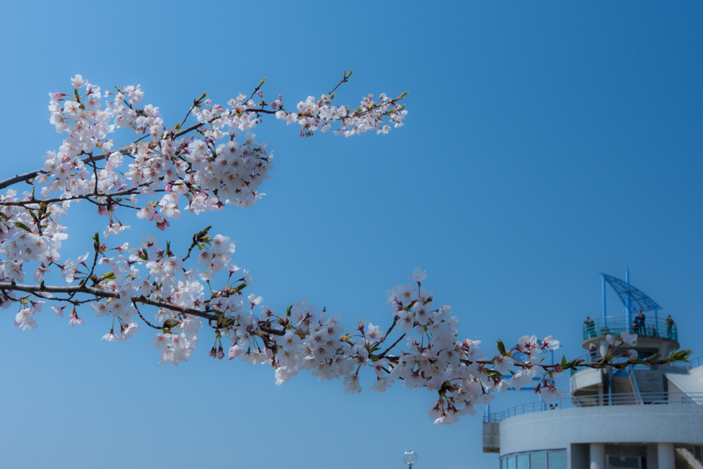 空が見える公園