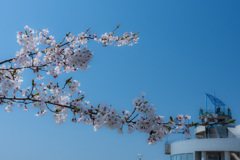 空が見える公園