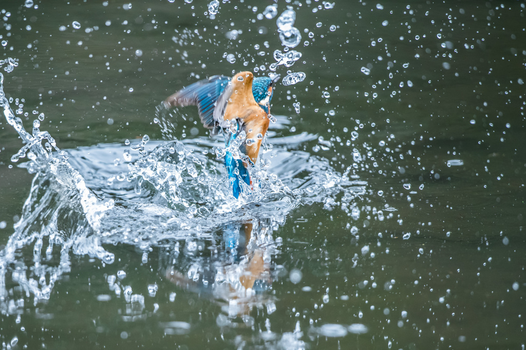 水遊び