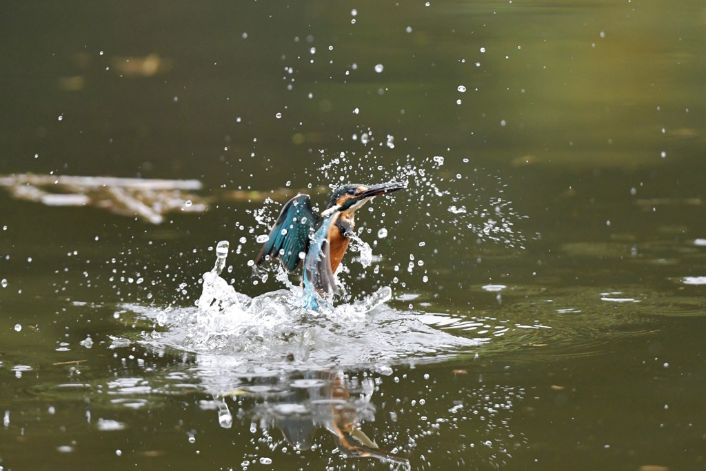 水絡み（女の子）