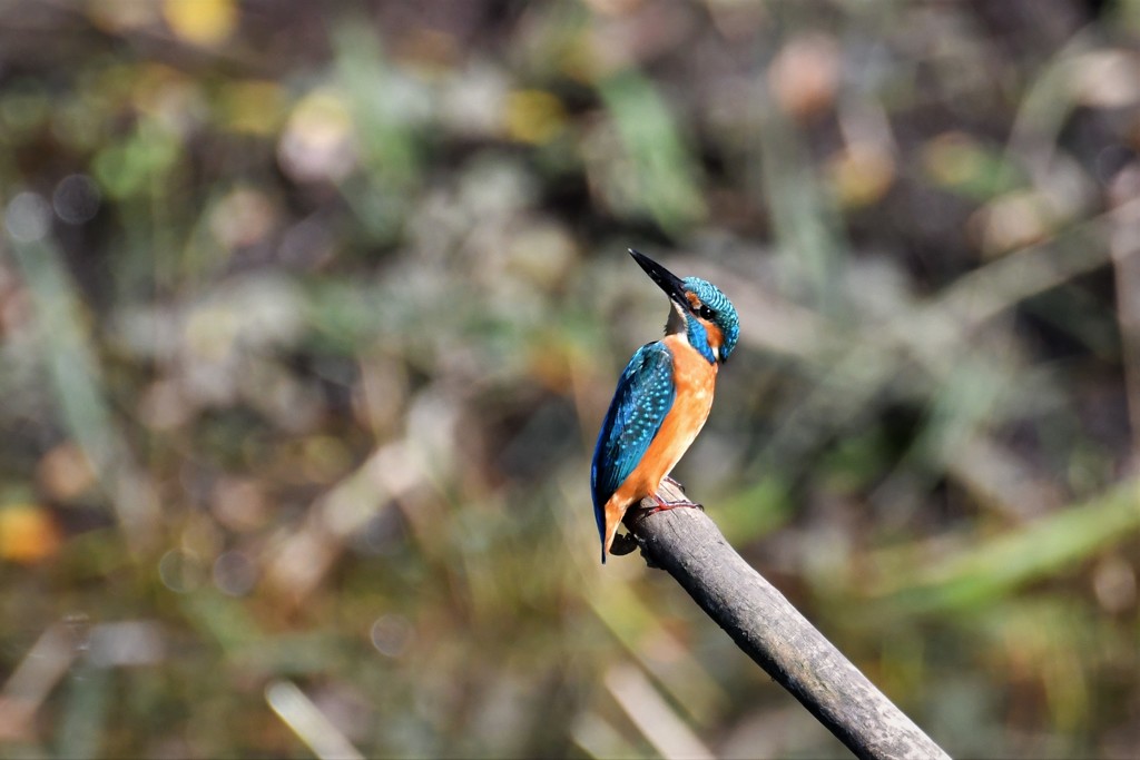 上が気になる～