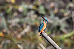 上が気になる～