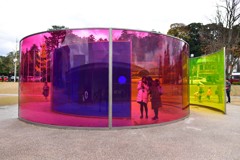 フィルターで遊ぶ人々