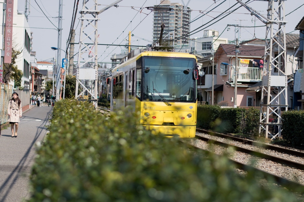 日常の路面電車